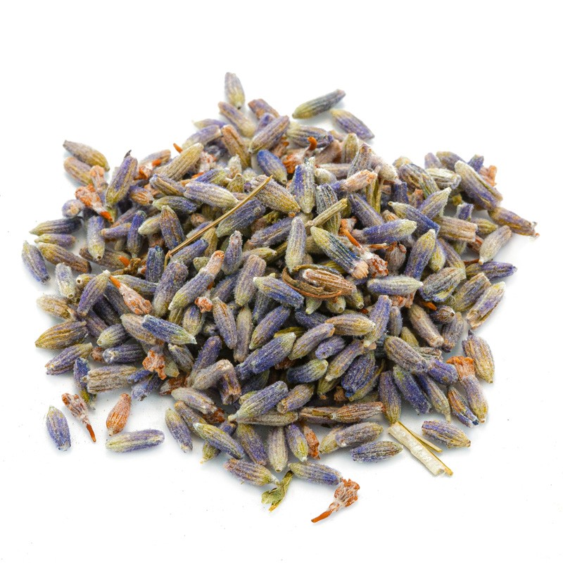 Lavanda ibrida fiori mondi