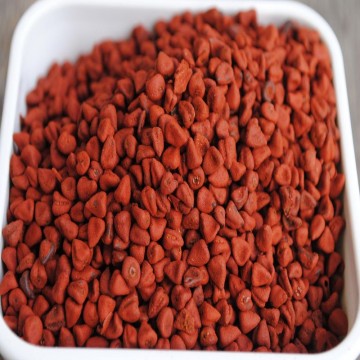 Semi di Annatto bio |Achiote [NATURADORIENTE]