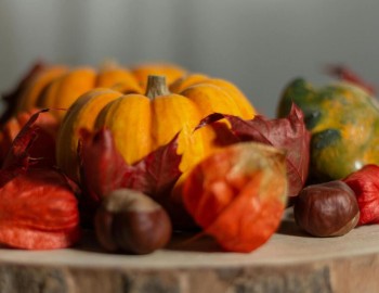 Zucca, castagne e spezie: mix d'autunno in cucina