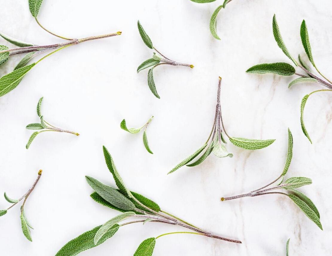 Excessive sweating: which herbal teas can help?